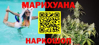 крисы Донской