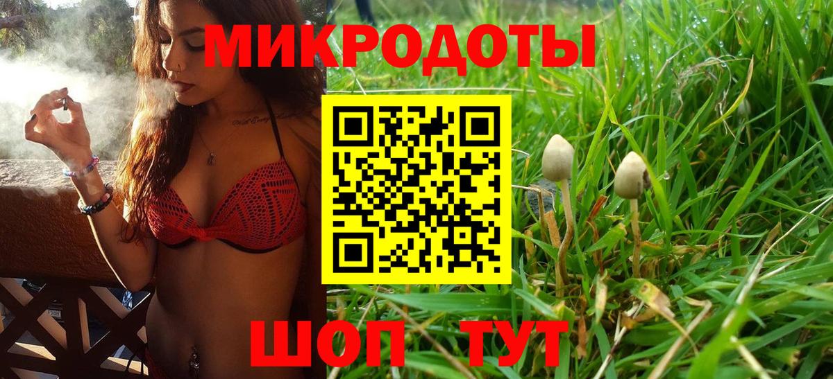 Нефтекамск  Псилоцибиновые грибы Magic Shrooms  Вход с VPN 