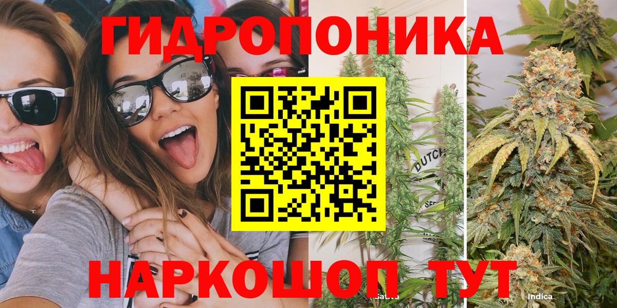 Бошки марихуана индика  Бошки марихуана план  Вход с VPN  Нефтекамск  Марихуана семена  МАРИХУАНА тримм 